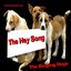 The Hey Song - Single