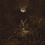 Antichrist in Excelsis