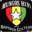 Mungo's Hi Fi Meets Brother Culture