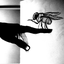 Avatar für IcouldCmyBones