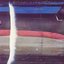 [1976.12.10] Wings over America