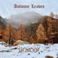 Autumn Leaves - Single