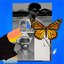 Butterflies (with Green Velvet)
