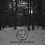 No Exit from the Forest