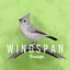 Treetops (Wingspan Original Video Game Soundtrack) - Single