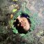 Kiss the Ground - Single