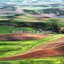 Relaxing Fields of Melancholy