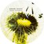 Cautare / Contemplare Ep