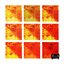 Fashion Forward - Single