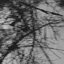 Non-Local Hidden Variable