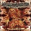 Worms Festering Cadaver
