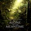 Alone in The Meantime