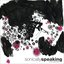 Sonically Speaking, Volume 22: April 2005