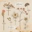Pondecen - EP