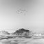 A Lost Horizon