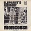 Mongoose