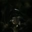 Mindtricks - Single