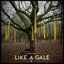 Like a Gale - Single