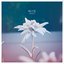 Akehana - Single