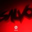 Salvo