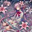 Lilium
