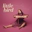 Little Bird