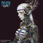 Biomechanical Era (Expansion)