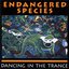 Dancing in the Trance of Life