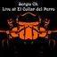 Live at El Collar del Perro