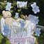 Teddy