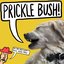 Prickle Bush