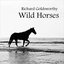 Wild Horses