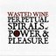 Perpetual Spirals of Power & Pleasure