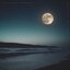 Tranquil Twilight