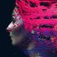 Hand. Cannot. Erase. [ Limited Edition]