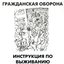 исполняет песни группы Инструкция По Выживанию