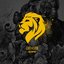 Like A Lion