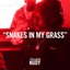 Snakes In My Grass - Single