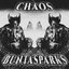 CHAOS
