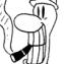 bonephoney için avatar