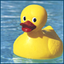 Avatar for kappate