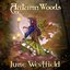 Autumn Woods
