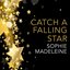 Catch a Falling Star
