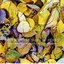 Tales of Herbst (feat. Franz Hautzinger, Matthias Loibner & Peter Rosmanith)