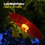 Late Night Tales: Ólafur Arnalds (unmixed)