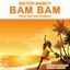 Bam Bam (Dubstep Remix)