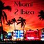 Miami 2 Ibiza [Swedich House Mafia Instrumental Mix]