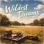 Wildest Dreams