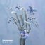 Printemps (Remixes)