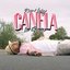 Canela